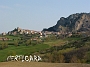 0047 perticara 
